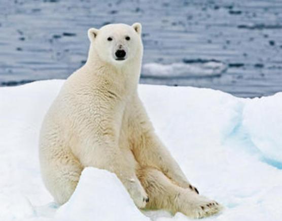 ����ꑵ�10������������а񣬷������(zh��n)�������e(cu��)�����R��;޴�