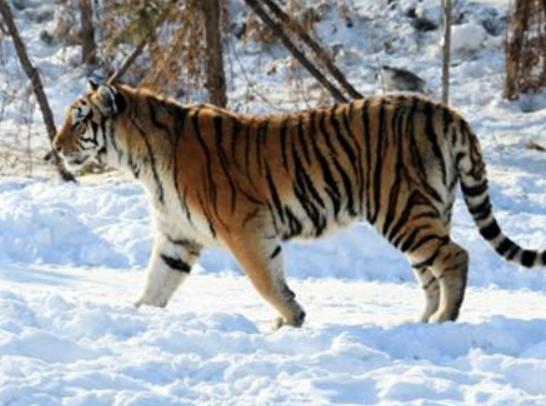 ����ꑵ�10������������а񣬷������(zh��n)�������e(cu��)�����R��;޴�