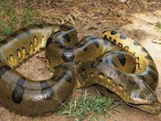 ����ꑵ�10������������а񣬷������(zh��n)�������e(cu��)�����R��;޴�