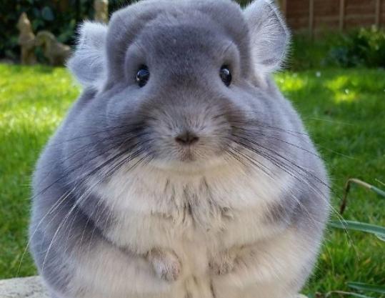 ȫ������Ȅ������а���؈���̮��������ɫ������һ���춼��˯�X