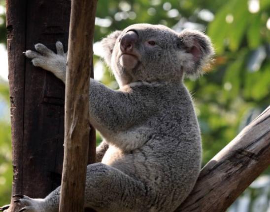 ȫ������Ȅ������а���؈���̮��������ɫ������һ���춼��˯�X