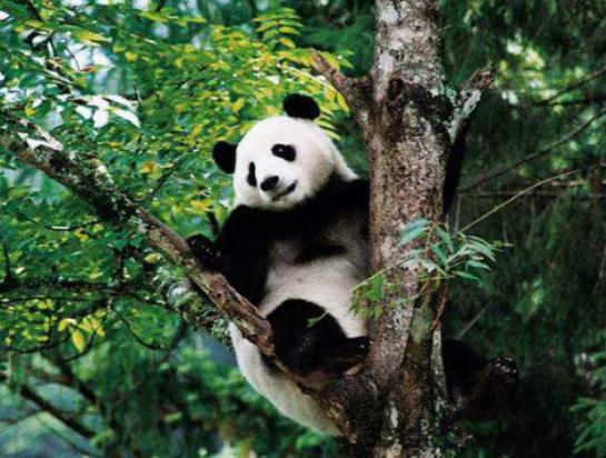 ȫ������Ȅ������а���؈���̮��������ɫ������һ���춼��˯�X