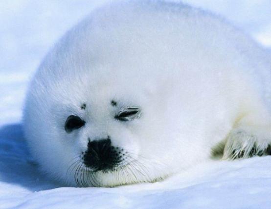 ȫ������Ȅ������а���؈���̮��������ɫ������һ���춼��˯�X