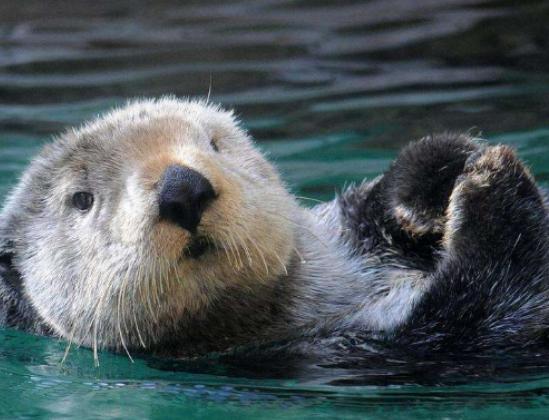 ȫ������Ȅ������а���؈���̮��������ɫ������һ���춼��˯�X