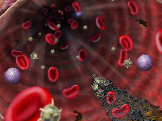 ѪҺ�tɫ��ԭ���ǵ����|(zh��)�᣿ÿ���˵�ѪҺ��һ�ӆ�