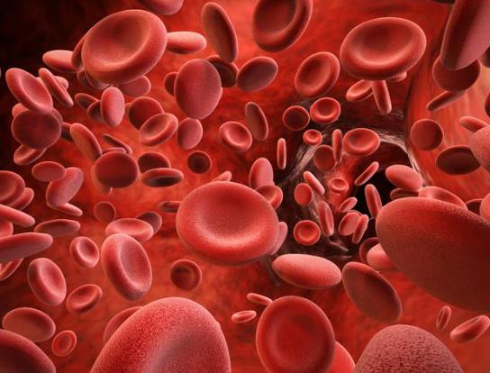 ѪҺѪ�������w��ʲô���ã�ؚѪ��ʲôԭ�������