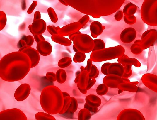 ѪҺѪ�������w��ʲô���ã�ؚѪ��ʲôԭ�������