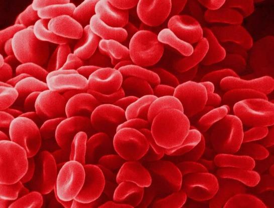 Ѫ������90��(hu��)��(d��o)��ʲô��Ѫ����88��90��(hu��)��(d��o)��ʲô