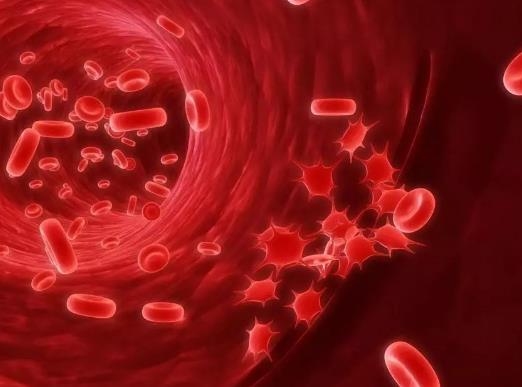 Ѫ������ô��������ȥ��Ѫ��80һ85֮�g�܈Գֶ��