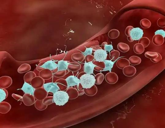 Ѫ��91��Σ�U����Ѫ��93�����K���Æ�