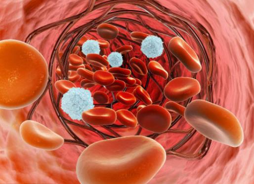 Ѫ��91Ҫ�����᣿Ѫ������93��ô�k