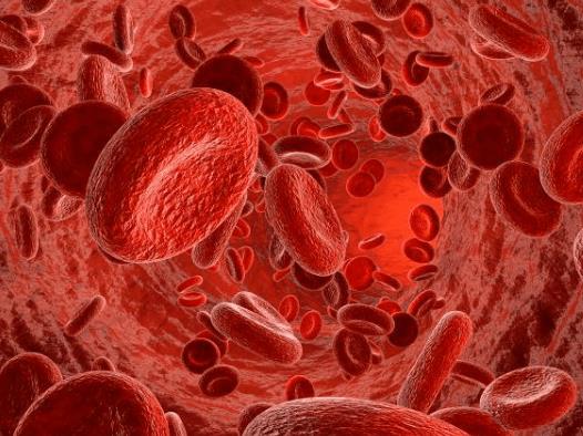 Ѫ���x�Ǹ�ʲô�õ���ָ��Ѫ���x�ǜyʲô��