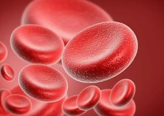 �賿Ѫ��5.5����ո�6.0�����᣿�yѪ��Ҫ��Ҫȥ����һ��Ѫ