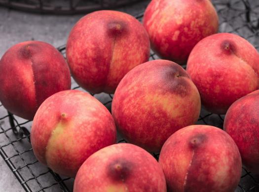 ��Ѫ����Ƥ��߀�ǲ���Ƥ�ã�Ѫ�����Ǽtɫ߀�ǰ�ɫ