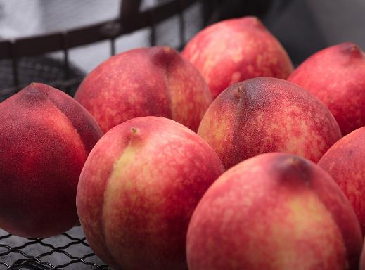 Ѫ�қ]������ǲ��ǰ׵ģ�ʲô�ӵ�Ѫ����ó�