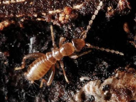 ȫ��ʮ����ϡ���x���а񣬲�Ϭ�����Ը���ľ�^���ʱ۽��������ɫ