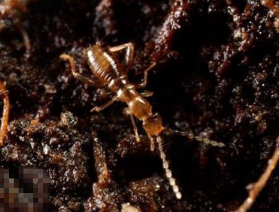 ȫ��ʮ����ϡ���x���а񣬲�Ϭ�����Ը���ľ�^���ʱ۽��������ɫ