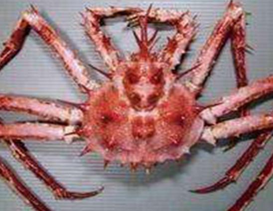 ����ʮ������ֵ��з�����^з�����ԏ�(qi��ng)������з�����������ļך�����