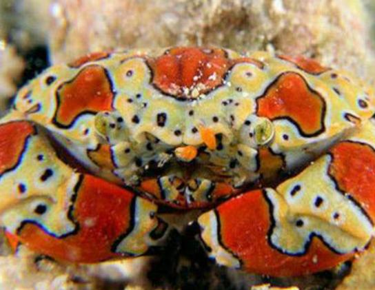 ����ʮ������ֵ��з�����^з�����ԏ�(qi��ng)������з�����������ļך�����