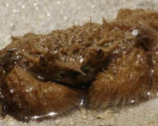 ����ʮ������ֵ��з�����^з�����ԏ�(qi��ng)������з�����������ļך�����