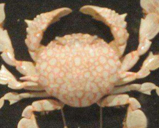 ����ʮ������ֵ��з�����^з�����ԏ�(qi��ng)������з�����������ļך�����