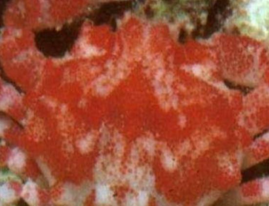 ����ʮ������ֵ��з�����^з�����ԏ�(qi��ng)������з�����������ļך�����