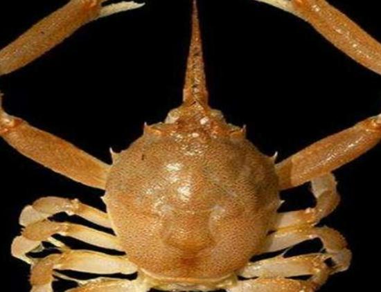 ����ʮ������ֵ��з�����^з�����ԏ�(qi��ng)������з�����������ļך�����