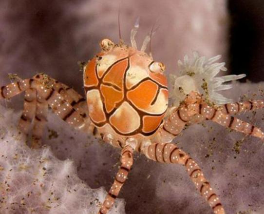 ����ʮ������ֵ��з�����^з�����ԏ�(qi��ng)������з�����������ļך�����