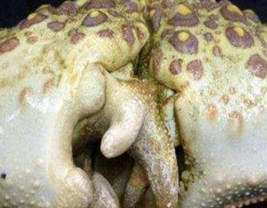 ����ʮ������ֵ��з�����^з�����ԏ�(qi��ng)������з�����������ļך�����