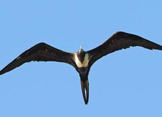 ����ʮ�������ص��B���������������B����ɫ���_��ɭ�O���B��Ư��