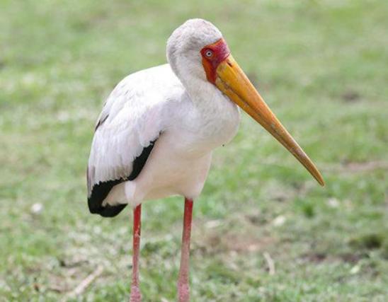 ����ʮ�������ص��B���������������B����ɫ���_��ɭ�O���B��Ư��