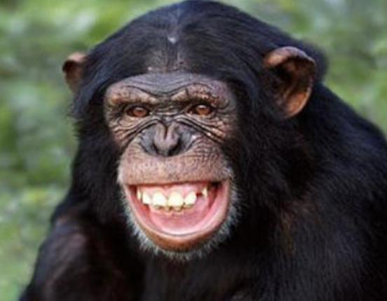 ����ʮ�������Ą�������ɕ�ֱ�����ߡ���������ǳ����