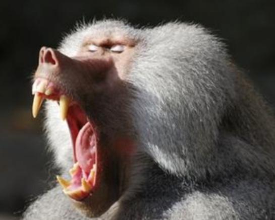 ����ʮ�������Ą�������ɕ�ֱ�����ߡ���������ǳ����