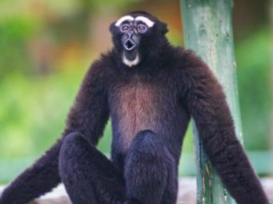 ����ʮ�������Ą�������ɕ�ֱ�����ߡ���������ǳ����