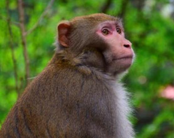 ����ʮ�������Ą�������ɕ�ֱ�����ߡ���������ǳ����