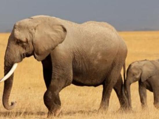 ����ʮ�������Ą�������ɕ�ֱ�����ߡ���������ǳ����