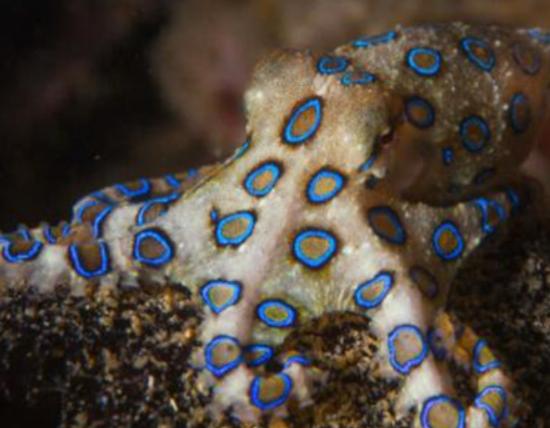 ����ʮ�������������޷�ˮĸ���κܺÿ����{(l��n)�h(hu��n)���~�׷�犾�Ҫ����