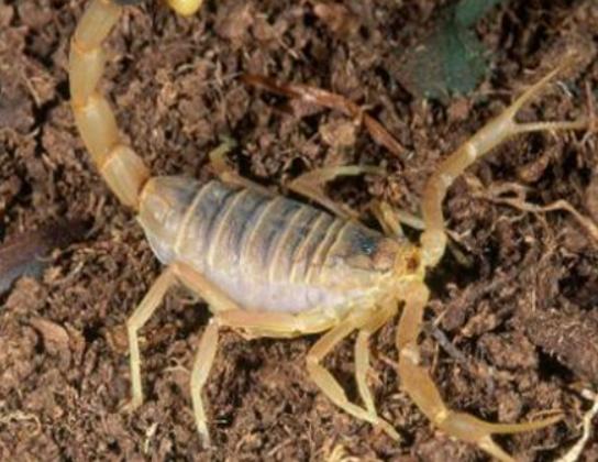 ����ʮ�������������޷�ˮĸ���κܺÿ����{(l��n)�h(hu��n)���~�׷�犾�Ҫ����