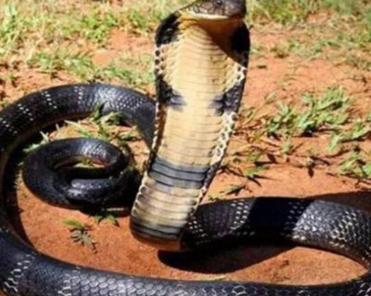 ����ʮ�������������޷�ˮĸ���κܺÿ����{(l��n)�h(hu��n)���~�׷�犾�Ҫ����