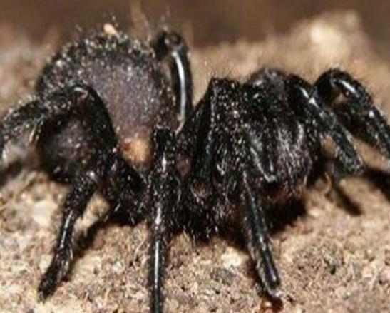 ����ʮ�������������޷�ˮĸ���κܺÿ����{(l��n)�h(hu��n)���~�׷�犾�Ҫ����