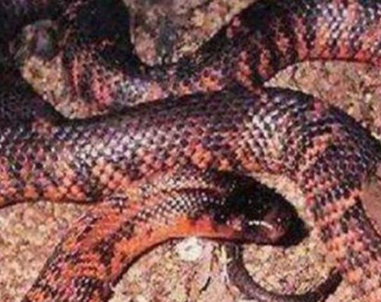 ����ʮ�������������޷�ˮĸ���κܺÿ����{(l��n)�h(hu��n)���~�׷�犾�Ҫ����