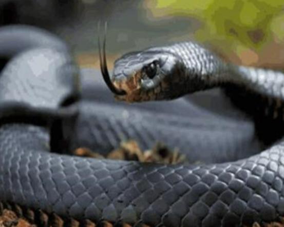 ����ʮ�������������޷�ˮĸ���κܺÿ����{(l��n)�h(hu��n)���~�׷�犾�Ҫ����