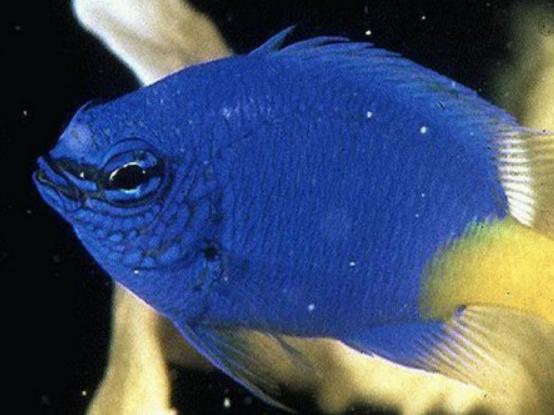 ����ʮ����Ư���ğᎧ�~�����~ɫ�ʸ�����ͬ��С���~�L��ɐ�