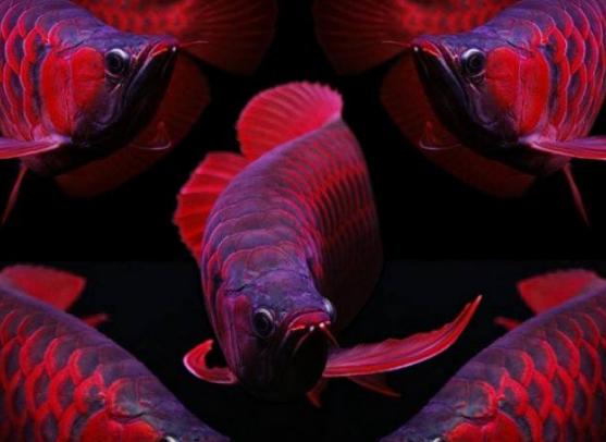 ����ʮ����Ư���ğᎧ�~�����~ɫ�ʸ�����ͬ��С���~�L��ɐ�