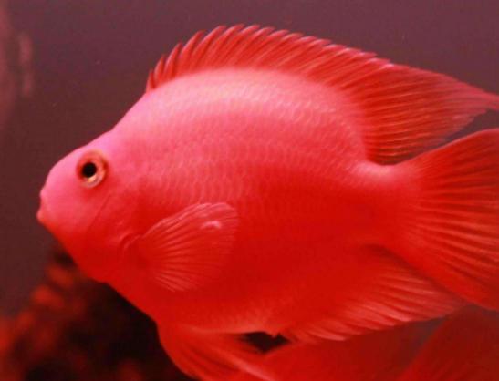 ����ʮ����Ư���ğᎧ�~�����~ɫ�ʸ�����ͬ��С���~�L��ɐ�