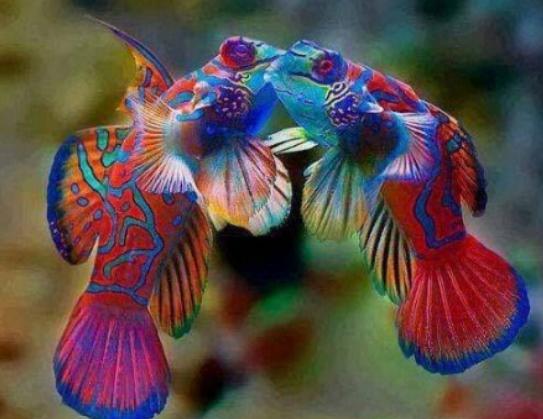 ����ʮ����Ư���ğᎧ�~�����~ɫ�ʸ�����ͬ��С���~�L��ɐ�