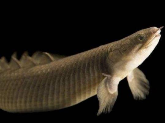 ����ʮ������~����ؼ��~���؞lΣ������(n��i)�Ӡ������~�����x�_ˮ����