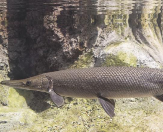 ����ʮ������~��ؼ��~���؞lΣ������(n��i)�Ӡ������~�����x�_ˮ����