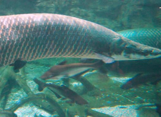 ����ʮ������~����ؼ��~���؞lΣ������(n��i)�Ӡ������~�����x�_ˮ����