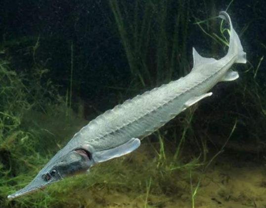 ����ʮ������~����ؼ��~���؞lΣ������(n��i)�Ӡ������~�����x�_ˮ����